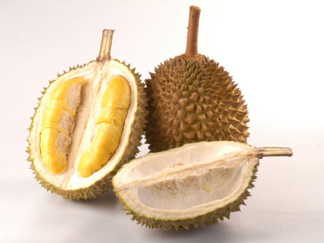 durian fruct exotic