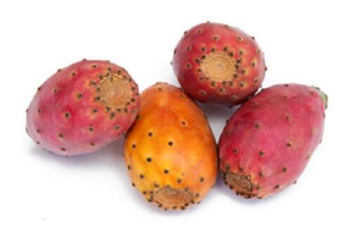 Fructe de cactus